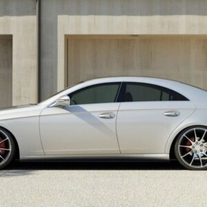 Maxton Design Боковые диффузоры Mercedes C219