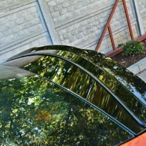 Maxton Design Спойлер Hyundai Veloster