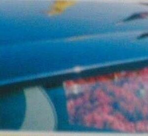 Maxton Design Спойлер на стекло BMW 5 E39